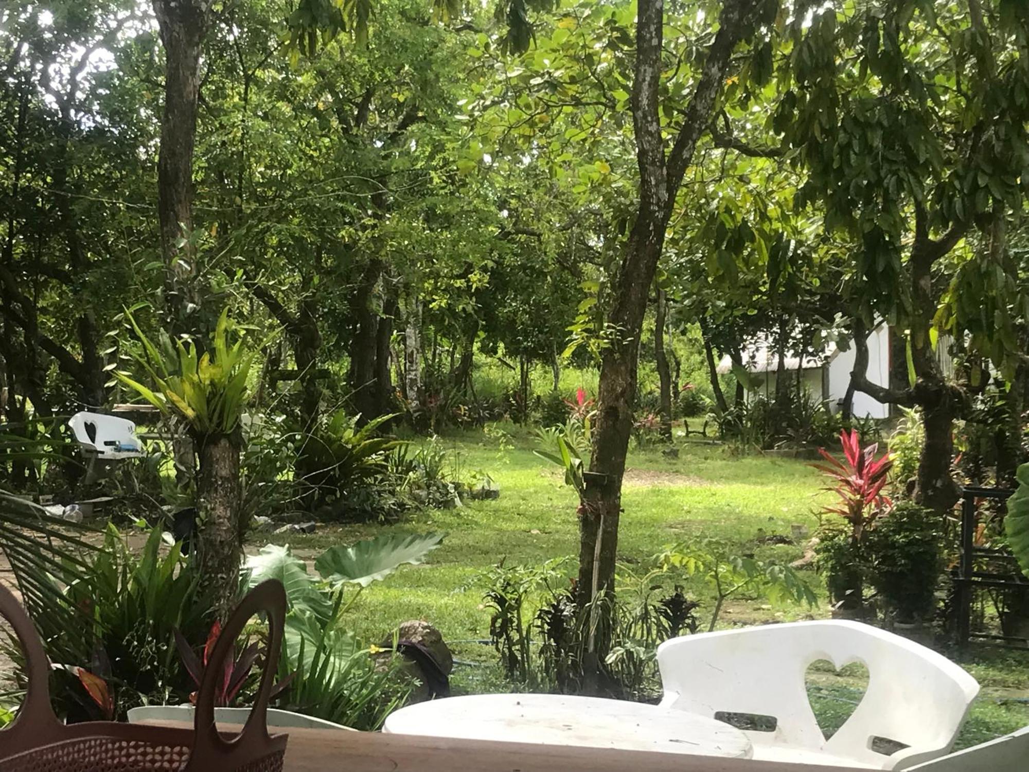 Balili Farm At Nacpan Bed & Breakfast El Nido Luaran gambar